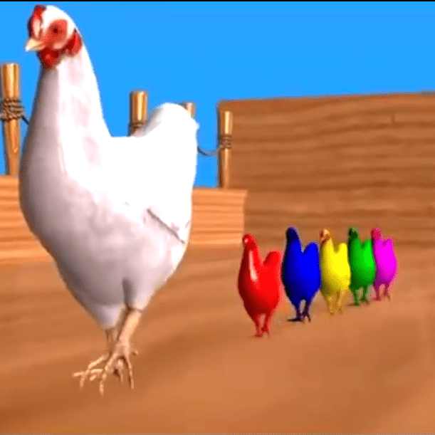 chickens
